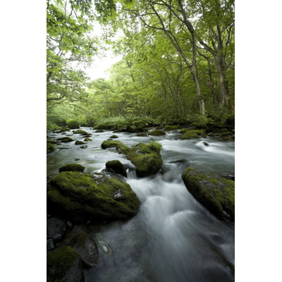 Mountain Stream by Ooyoo - Wrapped Canvas Print