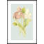 Forget Me Not 2 Print by Art House Studios-2036304432