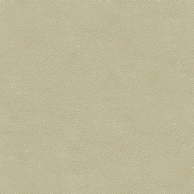 Kravet Design Pietra Fabric