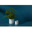 Seann Ceramic Pot Planter - Set of 2