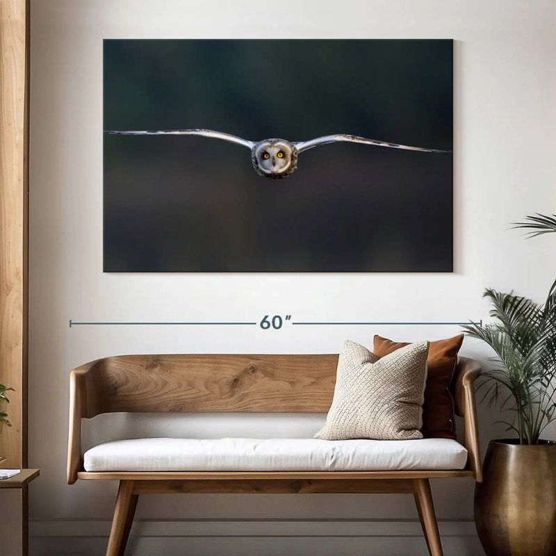 Brampt Owl Mid Air, 34" H x 51" W