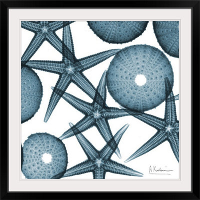 «Starfish X-Ray» par Albert Koetsier - reproduction de photo