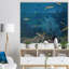 « gorgonia corail on the deep blue ocean », photo-34273910-34273912