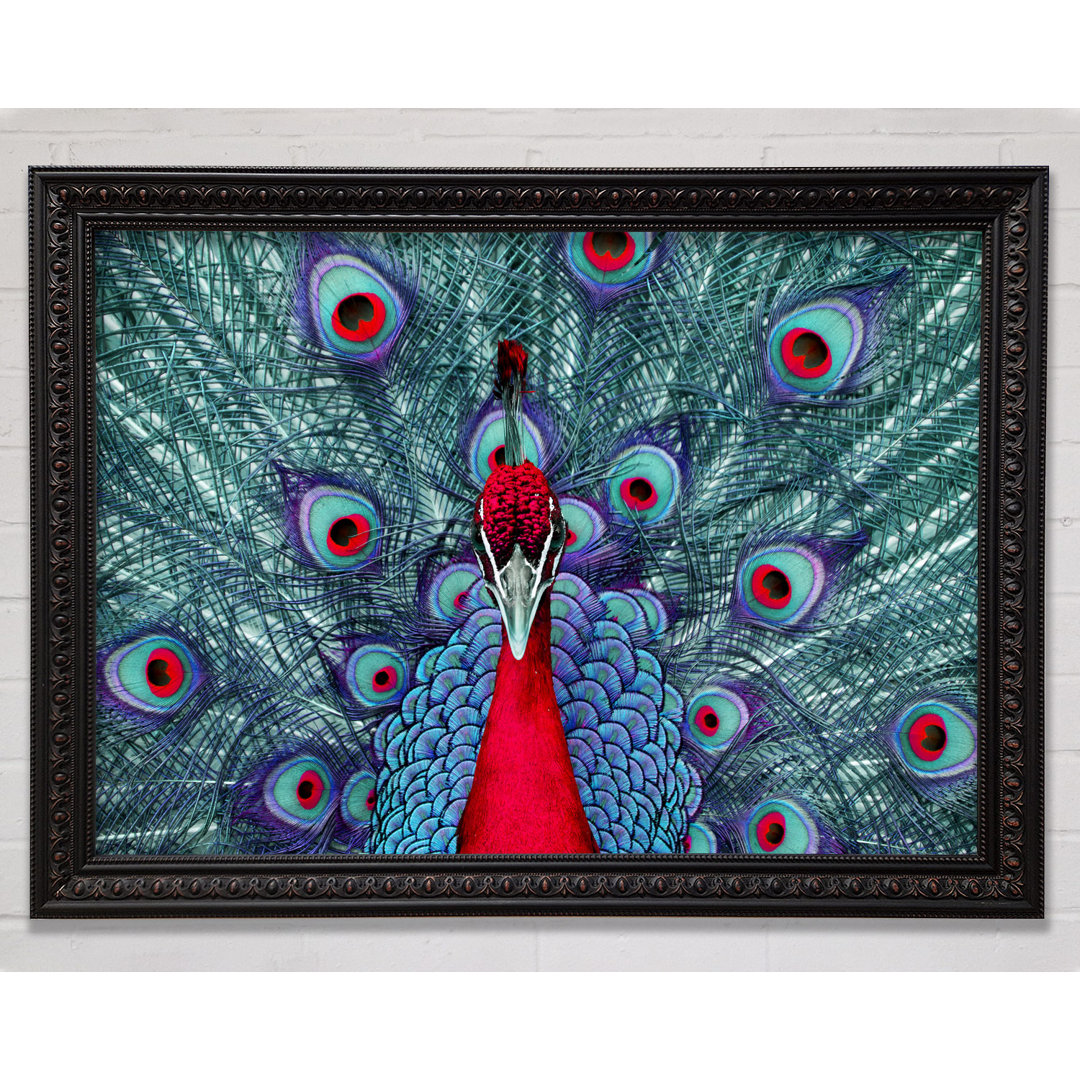 Peacock Beauty - Einzelner Bilderrahmen Kunstdrucke