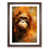 Walnut Framed selected