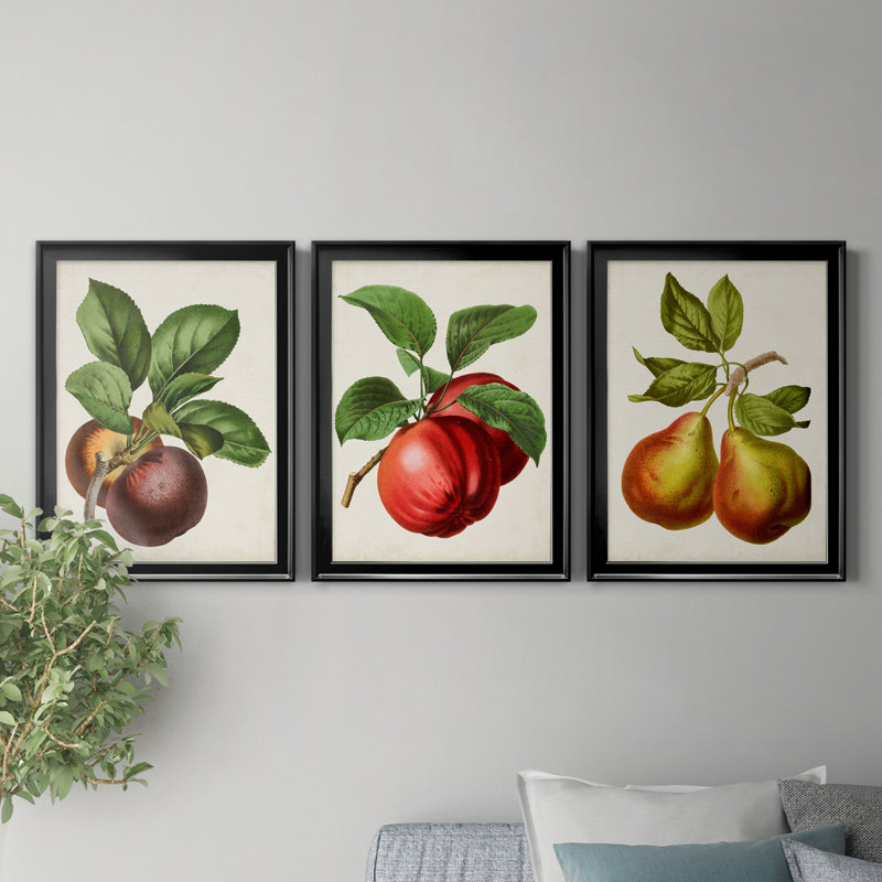 Antique Fruit IX - Ensemble de 3 impressions sur toile encadrées, Toile avec cadre noir, H 26,5 po x l 109,5 po x P 1,5 po