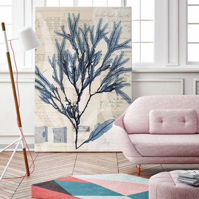 " Seaweed Arrangement I " Painting Print