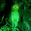 Champ de maïs et citrouille avec citrouille animatronique animée avec lumières et son, décoration d'Halloween d'intérieur / d'extérieur couverte