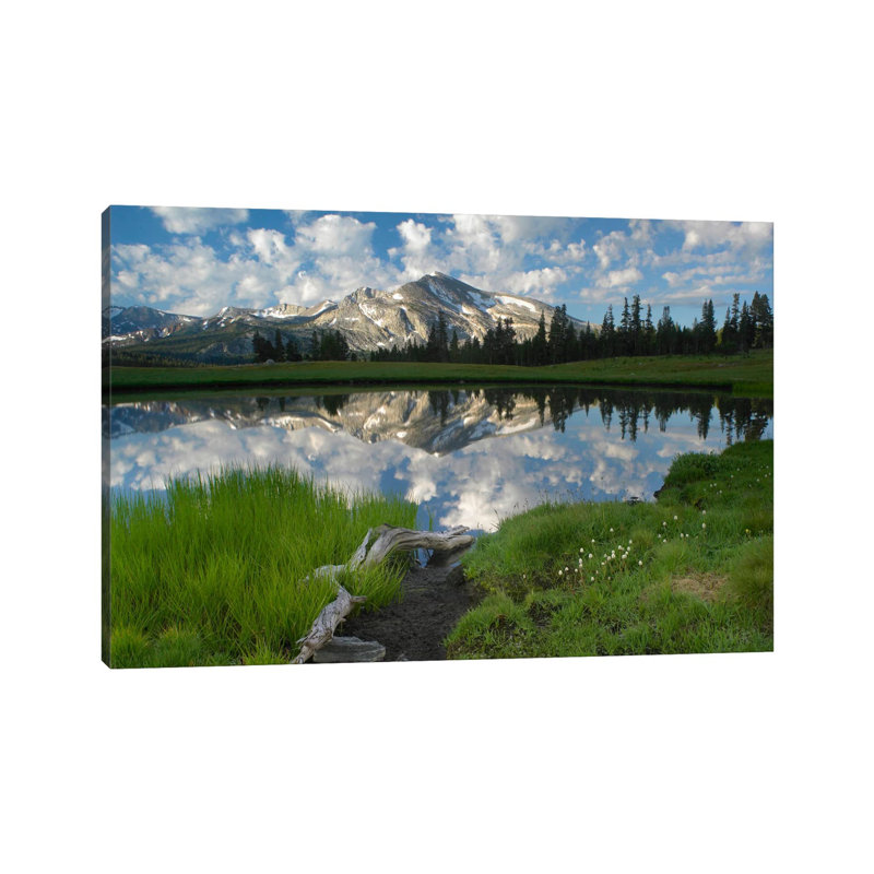 Mammoth Peak And Scattered Clouds Reflected In Seasonal Pool, Upper Dana Meadow, Yosemite National Park, California III by Tim Fitzharris - Wrapped Canvas Print