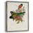 ElegantTrogonsVII Framed Print - Solid Wood
