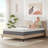 Temescal 12'' Medium Memory Foam Mattress-1199849555