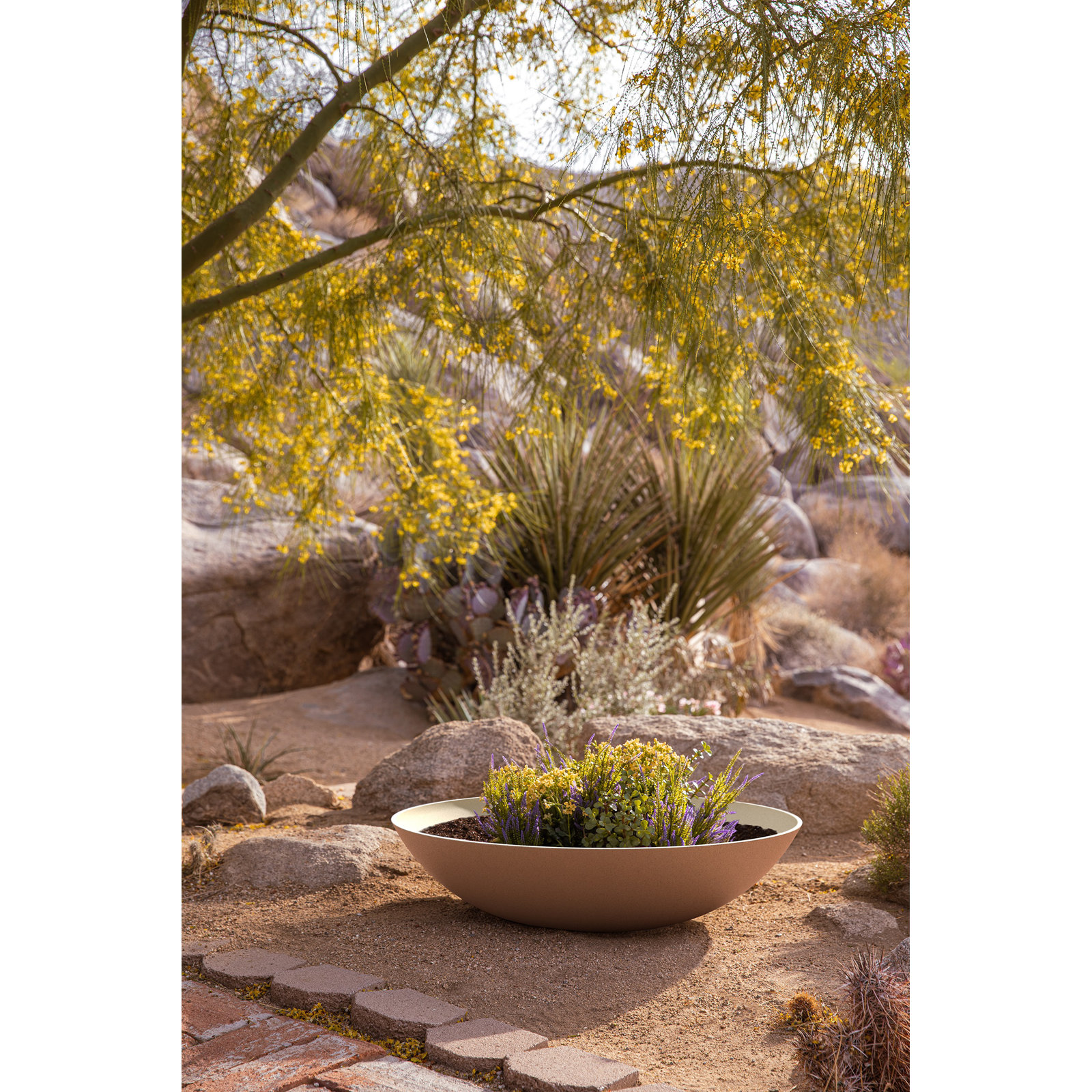 Pure Series Lane Weather Resistant Bowl Planter , 8" H x 32" W x 32" D, Sand, Set of 1