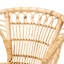 Brayonna 16.9'' H Armchair