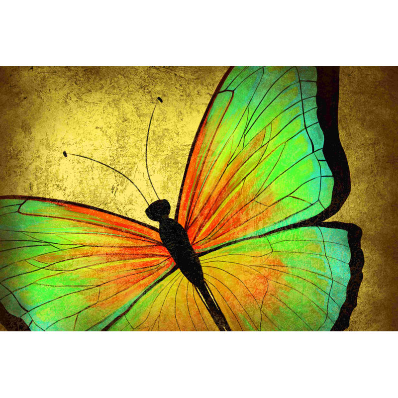Papillon antique - impression sur toile tendue, H 8 po x l 12 po
