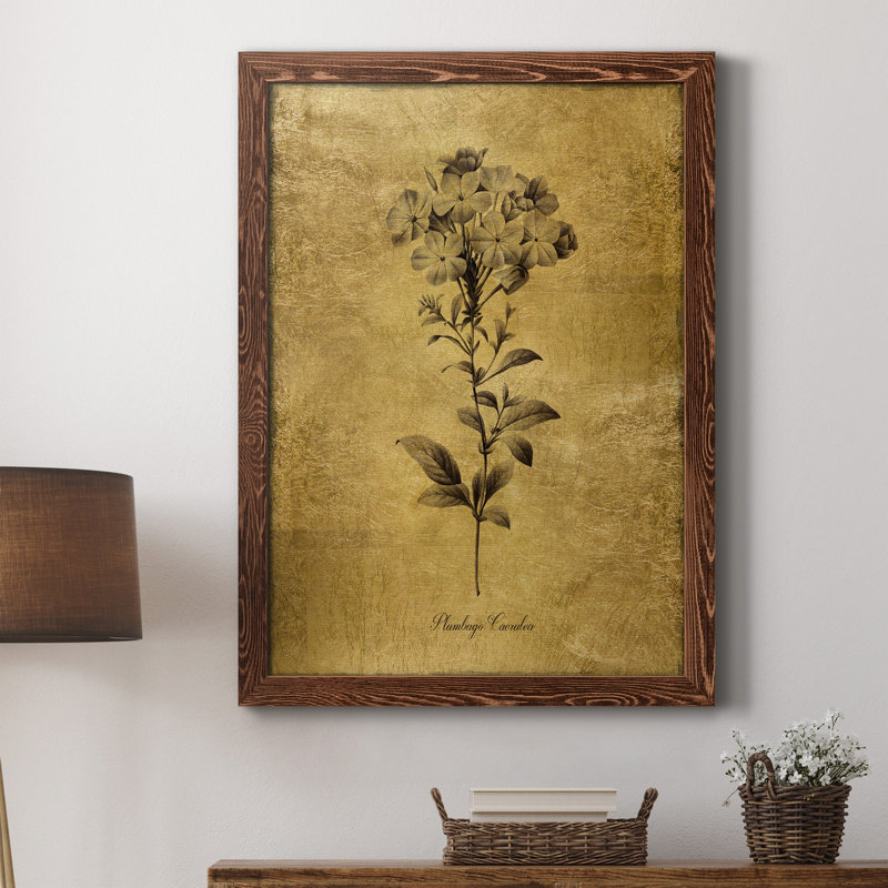 Toile encadrée dorée «Botanical II» de qualité supérieure - prête à être accrochée, H 31,5 po x l 23,5 po x P 1,5 po, Érable