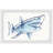 'Shark Outline' Framed Print-50107402