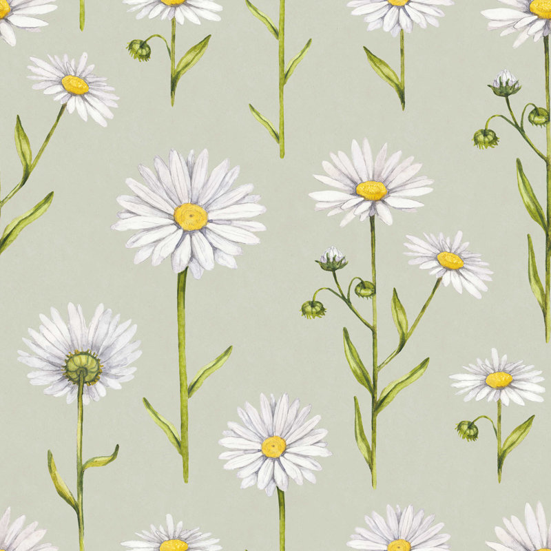 Camomile Flowers par Sashsmir - Photographie sur toile tendue, H 36 po x l 36 po