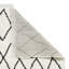 Aert Machine Woven Area Rug
