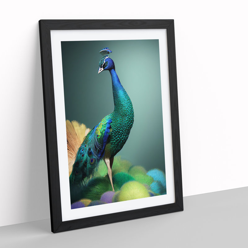 Amazing Peacock - Single Picture Frame Print, Black Framed, 46cm H x 34cm W x 2cm D