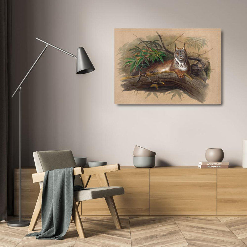 «The Canadian Lynx» par Joseph Wolf - Art mural sur toile tendue avec châssis, H 17 po x l 24 po