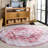 Washable Oriental Indoor Rug-107495528