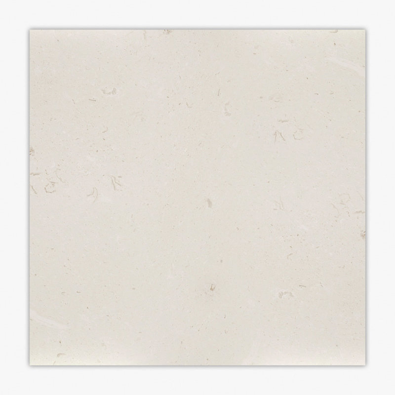 Symra Shell Honed 18x18 Limestone Tile