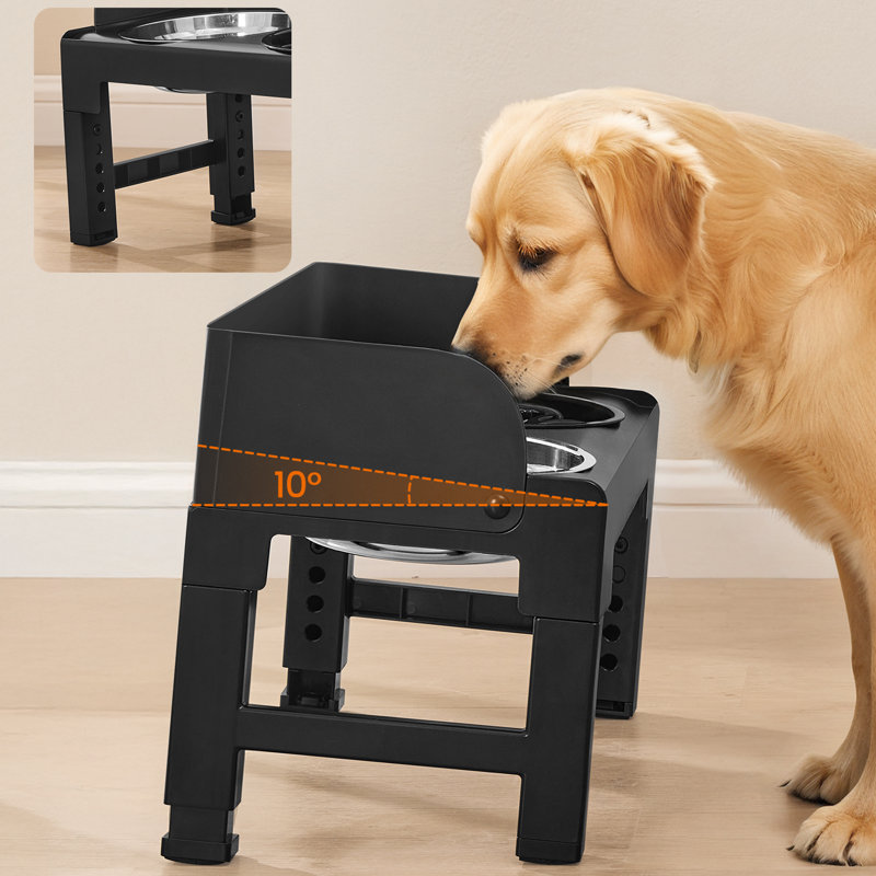 Bols pour chien surélevés Feandrea				, Noir