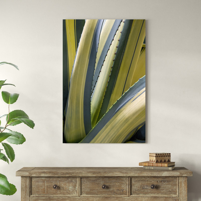 " Variegated Agave II ", 48" H x 32" W x 1.25" D