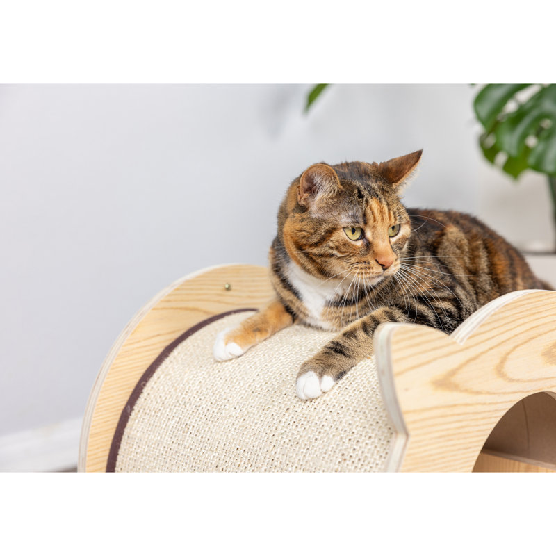 16'' Natural Wood and Sisal Cat Hideaway with Soft Pad