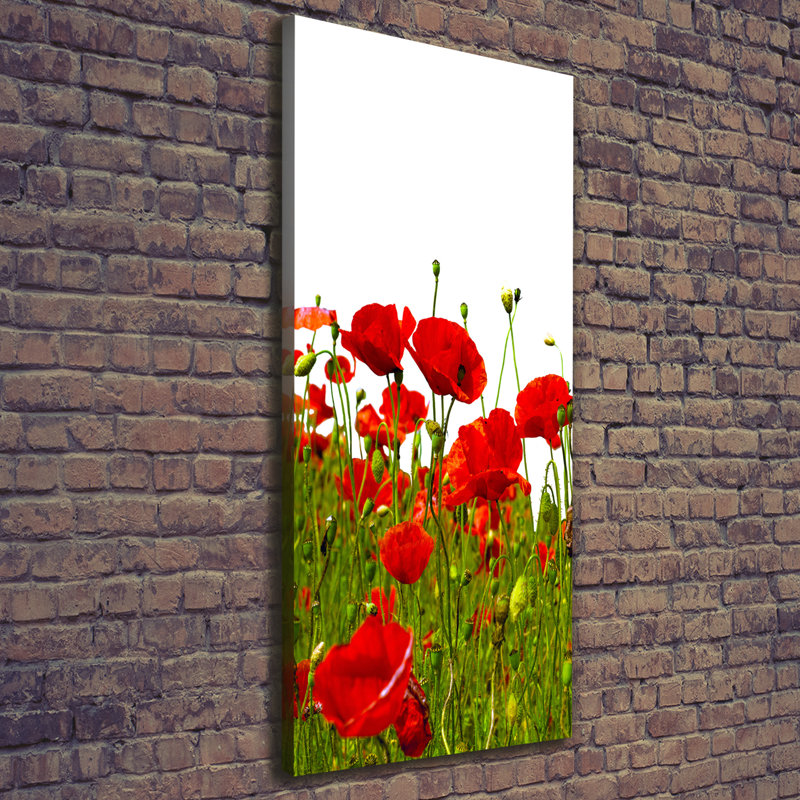 Field Of Poppies - Wrapped Canvas Print