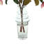 Organic Modern Magnolias in Glass Vase