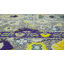 Tapis oriental gris Eddins-20627036