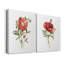 Pivoine écarlate - ensemble de 2 reproductions d'art-1707267970-1707573666-1707574876