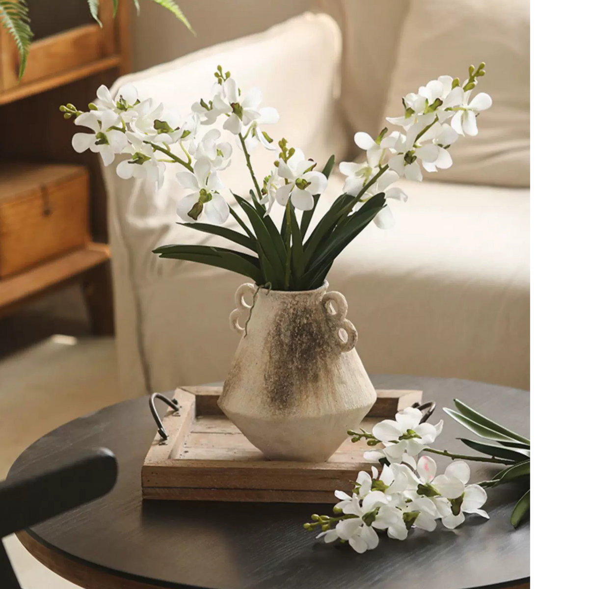 Vanda Orchid Floral Stems, White