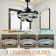Dontavius 42'' Ceiling Fan with LED Lights
