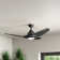 Albie 52'' Ceiling Fan with LED Lights