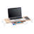 Plastic Monitor Stand