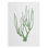 Coral Souvenirs II - Impression sur toile seulement - NON CADRE