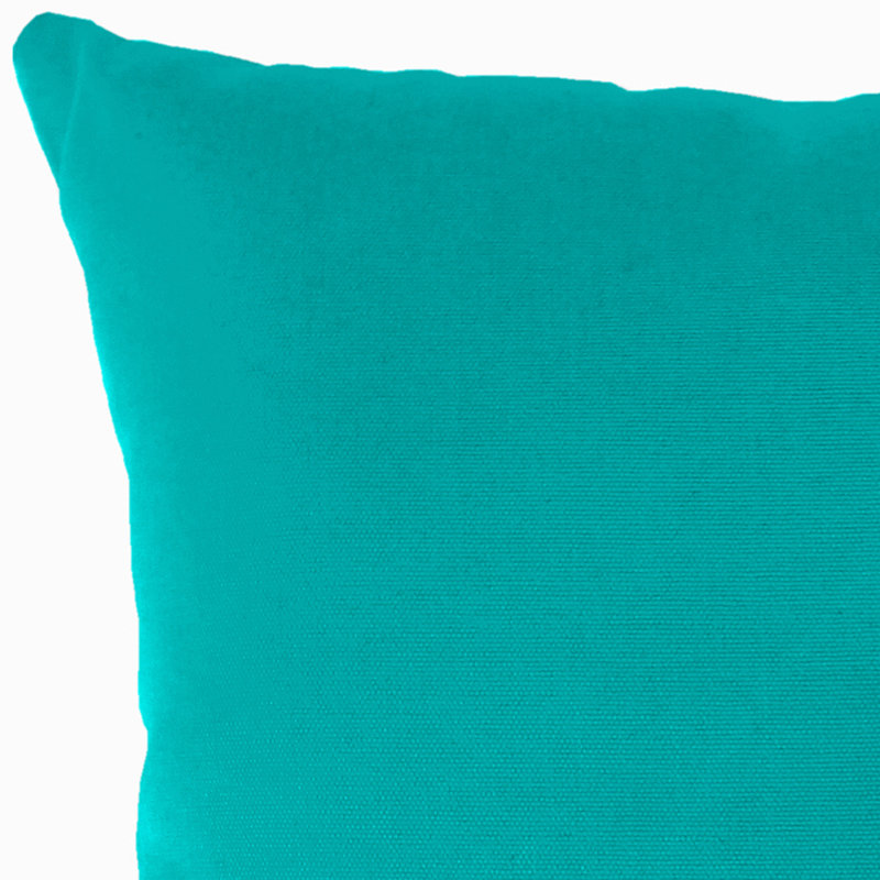 Sunbrella Outdoor Throw Pillow, Canvas Aruba