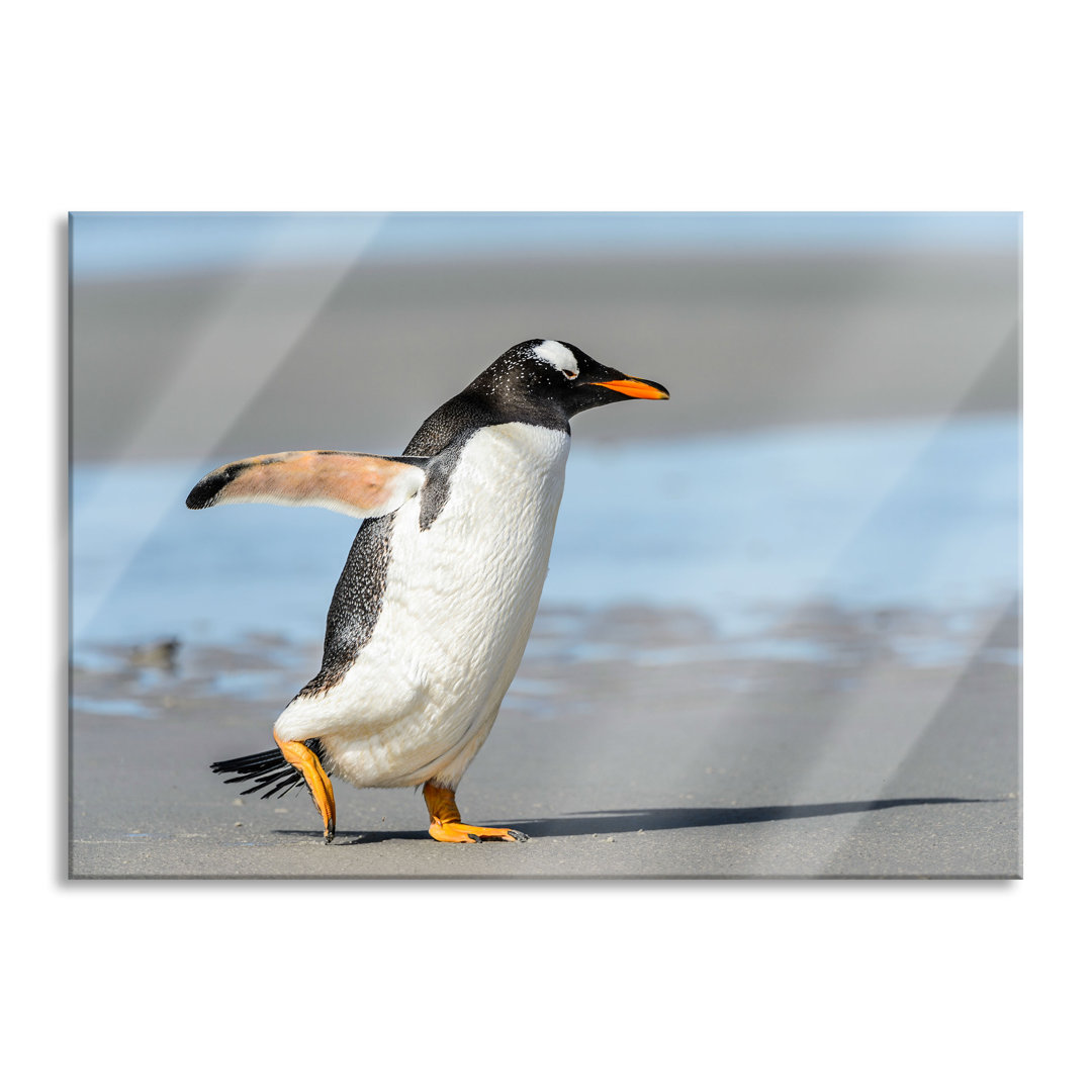 Ungerahmtes Foto auf Glas "Pinguin am Strand"