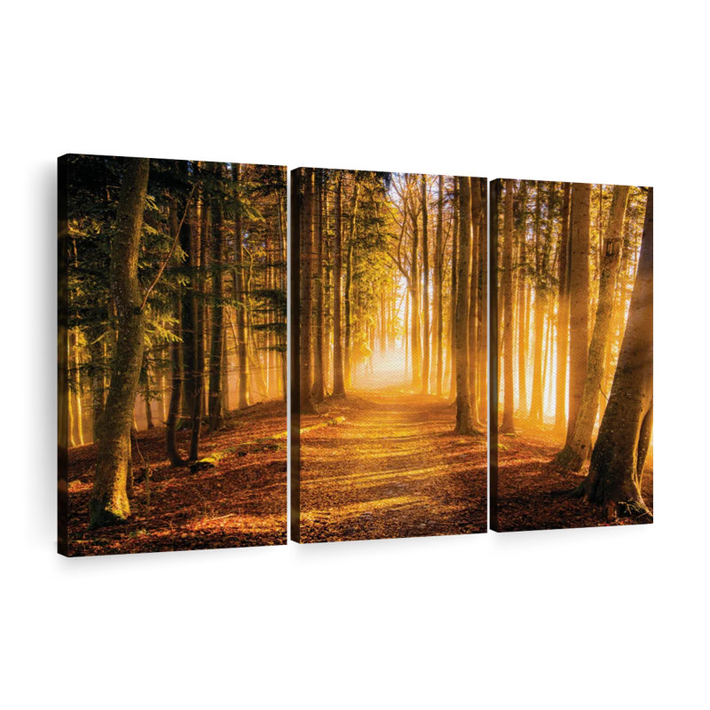 «Morning Forest Path», reproduction sur toile, H 24 po x l 38 po x P 1,25 po