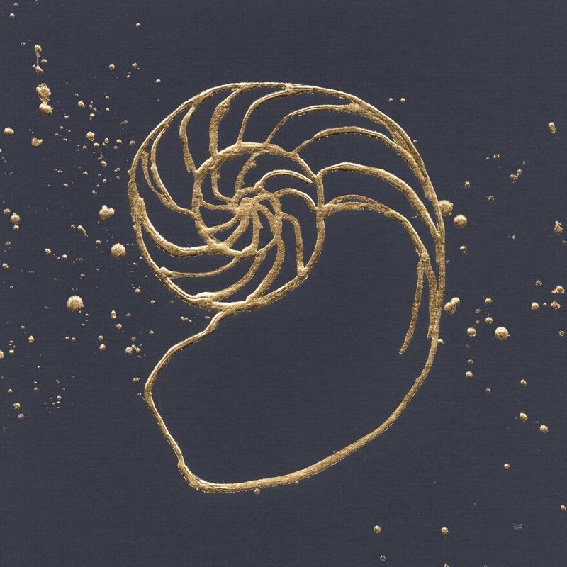 Gold Nautilus II by Chris Paschke - Wrapped Canvas Painting, 30cm H x 30cm W
