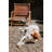 Mariam Folding Camping Chair