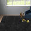 Tapis noir Assar-23564344