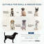 Canapé surélevé pour chien, canapé surélevé pour petits et moyens chiens avec coussins de siège et de dossier amovibles, patins antidérapants