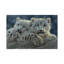 Oursons snow leopard, horizontal-35538138-72427967