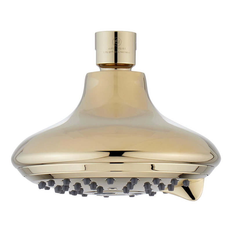 Round Multifunction Shower Head - Polished Brass