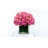 Peony Arrangement in Glass Vase with Grass-244290955