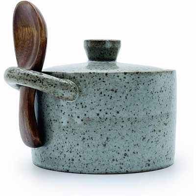 Ceramic Salt Crock with Lid and Nanmu Wood Spoon 8oz Large Capacity Salt Cellar