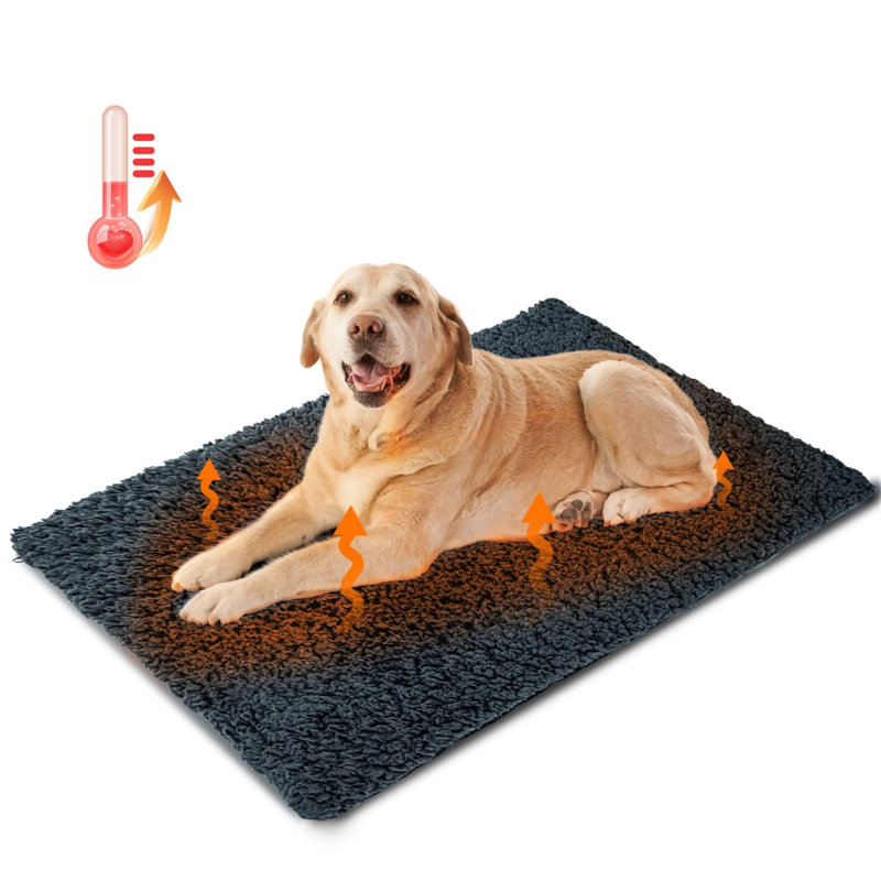 Wilkeson Pet Bed Accessory